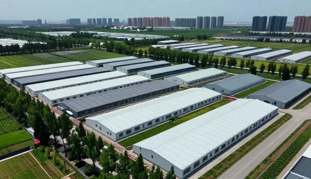 运维支持中常见问题与解决方案分析